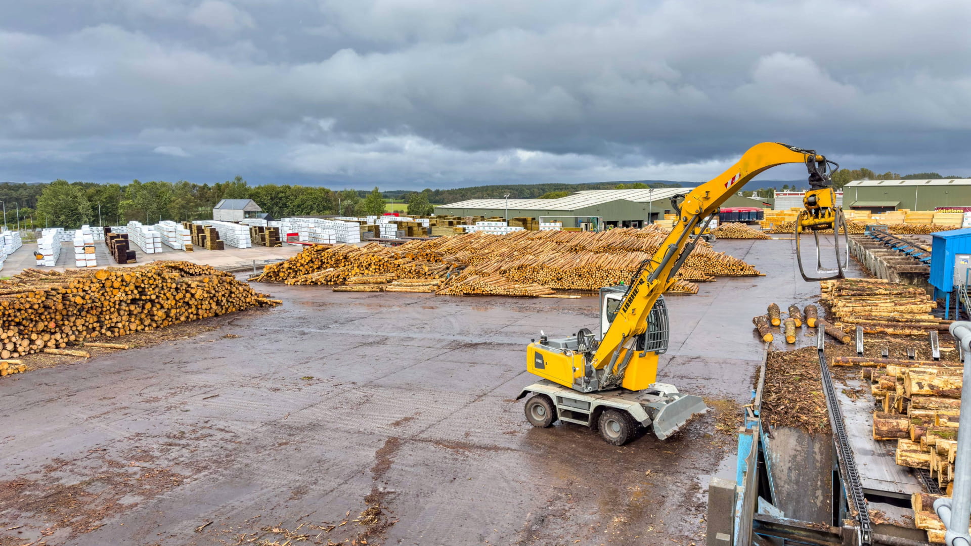 WJ Group Team Visit James Jones Sawmill With Wood Experts